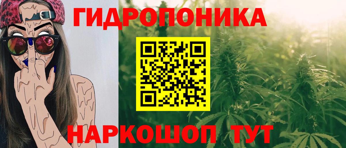 Бошки марихуана тримм  Марихуана Bruce Banner  Вход с VPN  Калининград 